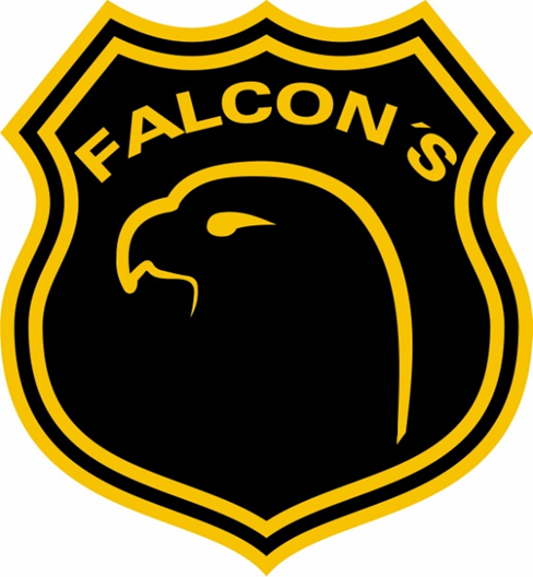 FALCON´S SEGURIDAD PRIVADA